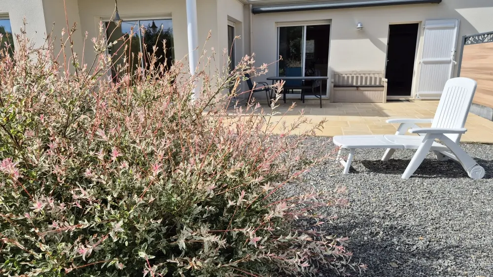 056MS000169_Saupin_20250529_175404