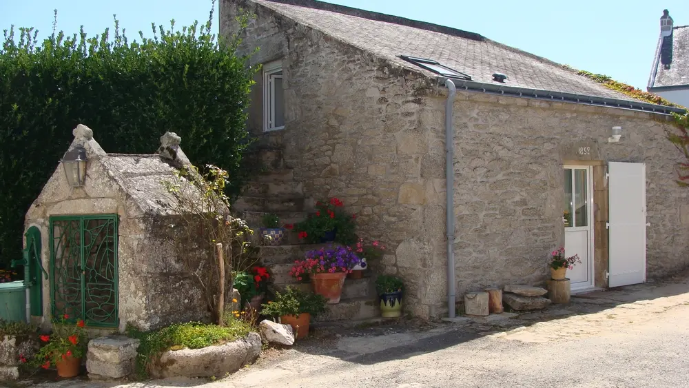 056MS000199_Briendo_DSC02305a