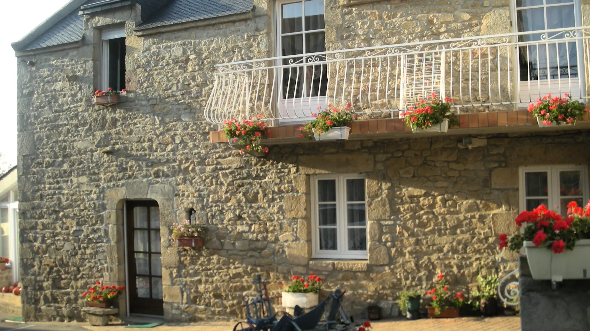 056MS000490_Rollando_DSCN3259