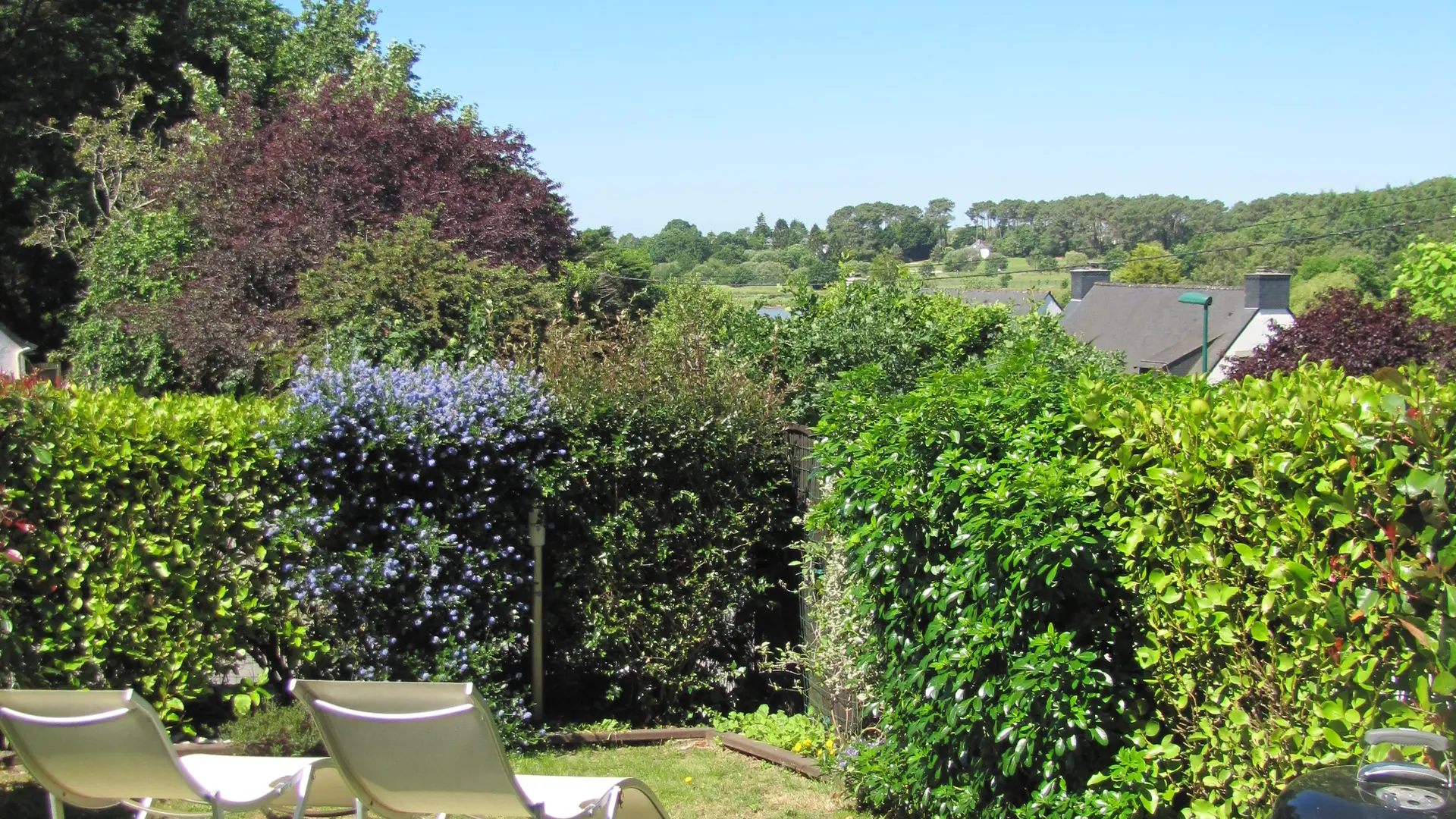 056MS000501_JUDE_IMG_6659