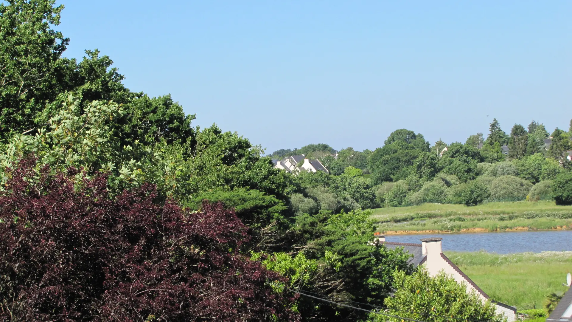 056MS000507_JUDE_IMG_6646