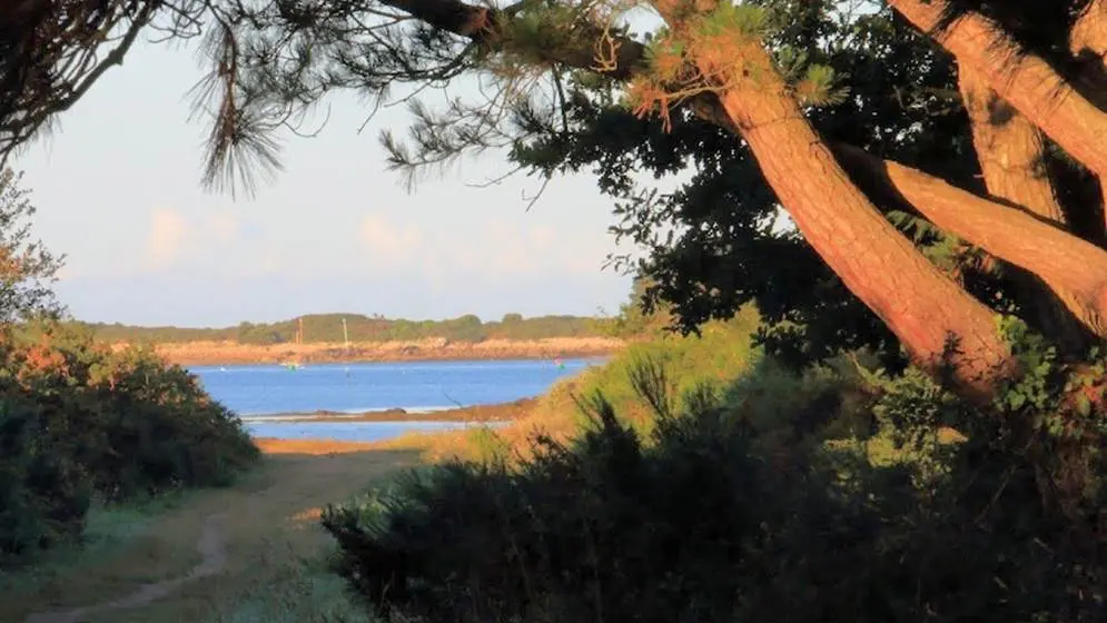 06_Locmariaquer_Camping de la Tour_Accès à la plage de Kerinis à 300m