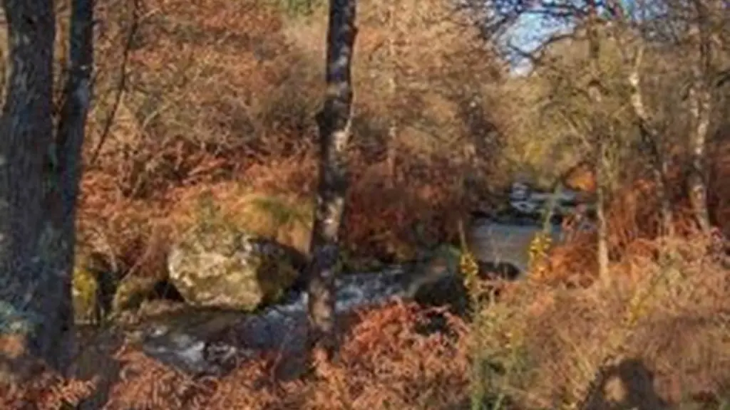 Vallée de l'Aër - Ploërdut - Morbihan Bretagne Sud