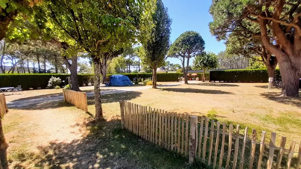 08_Locmariaquer_Camping de la Tour_Un havre de paix avec des emplacements spacieux