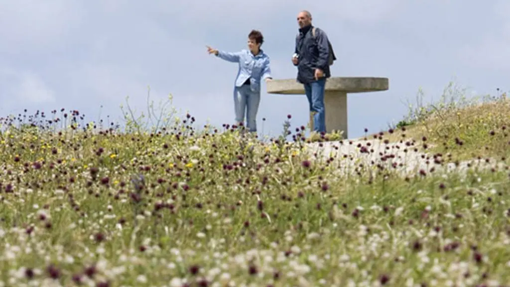 Conguel Quiberon Morbihan Bretagne Sud