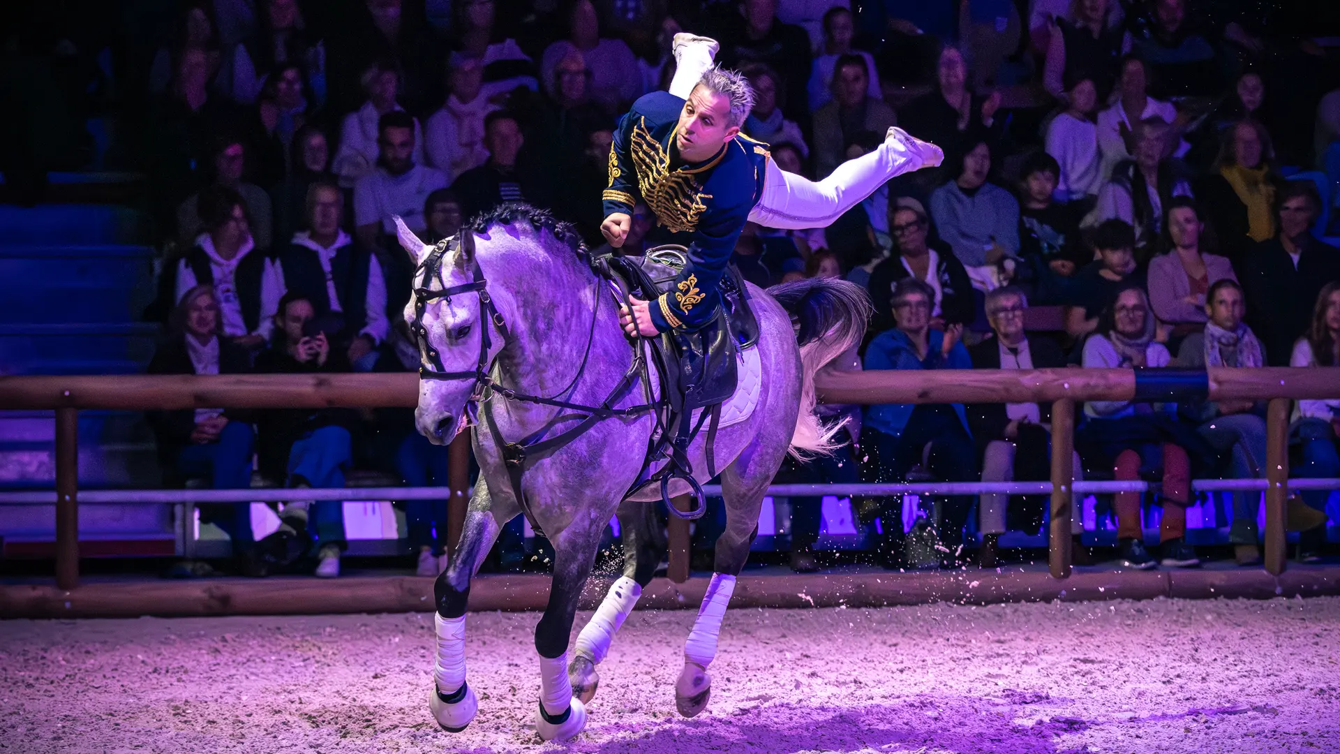 1243788_Inauguration de L’Ecrin, nouvelle halle equestre au Haras National d’Hennebont_2025-10-17©Lorient Agglo - N. Saint-Maur