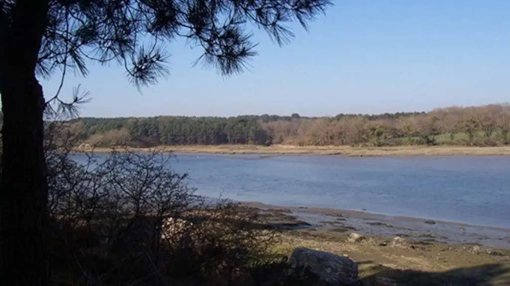 Rives du Vincin Vannes Morbihan Bretagne Sud