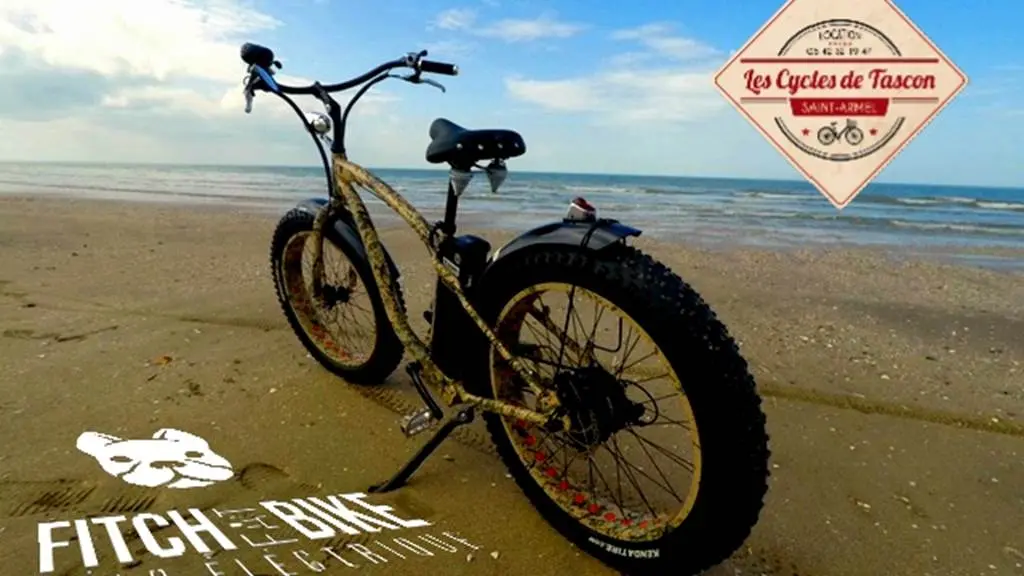 Les-Cycles-de-Tascon-Saint-Armel-Presqu'île-de-Rhuys-Golfe-du-Morbihan-Bretagne sud