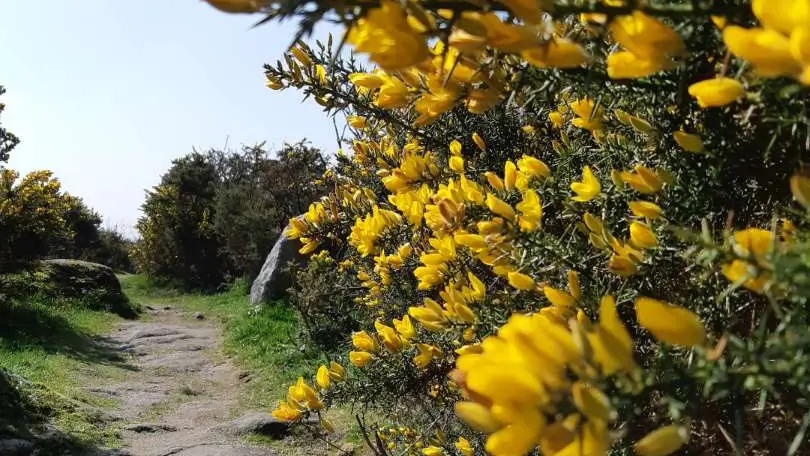 Circuit du manéguen