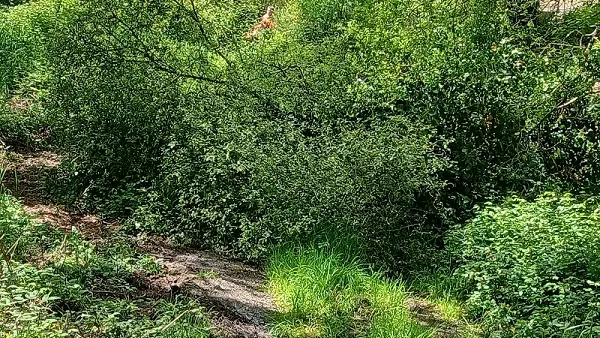 Chemin des villages Baud©K_Largeauc BD