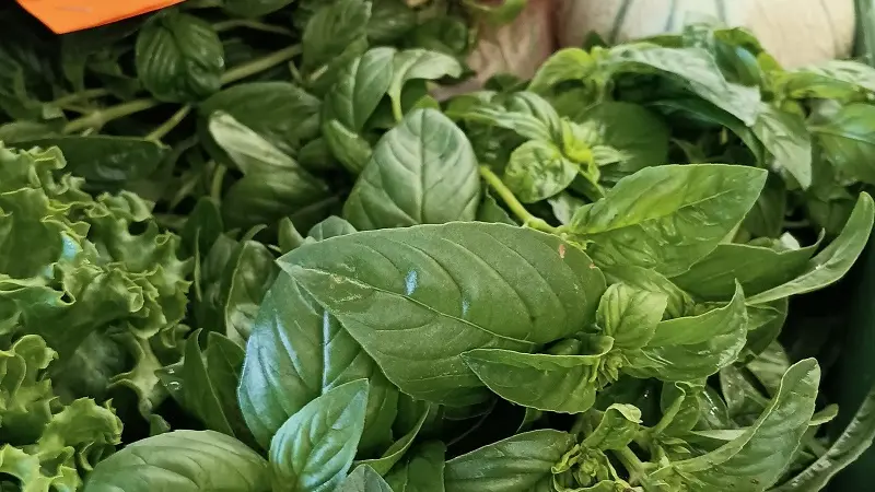 drive - paysans bio - paniers produits locaux - pays de Ploërmel