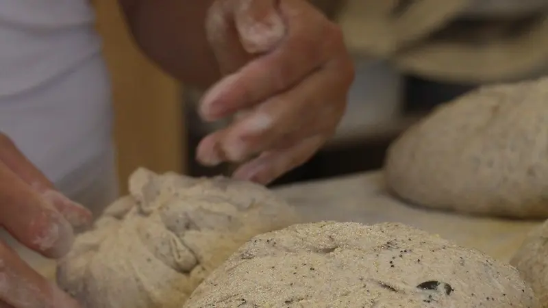 la ferme aux pains - producteur farine - boulangerie - Taupont - Morbihan