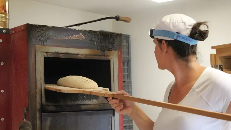 la ferme aux pains - producteur farine - pain biologique - Taupont - Morbihan
