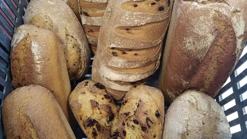 la ferme aux pains - producteur farine - pain - Taupont - Morbihan