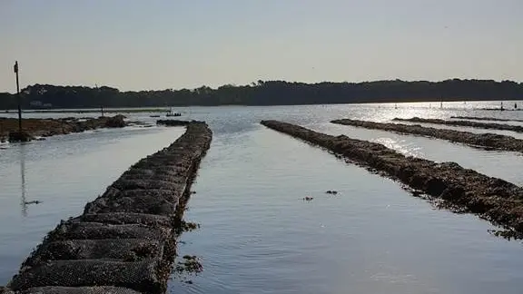 La Cabane de Cadoudal - Huîtres Damerose - LOCOAL MENDON - MORBIHAN  - Bretagne Sud