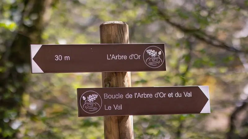 Val-sans-retour_legende_Morgane_Tréhorenteuc_Paimpont_DestinationBrocéliande