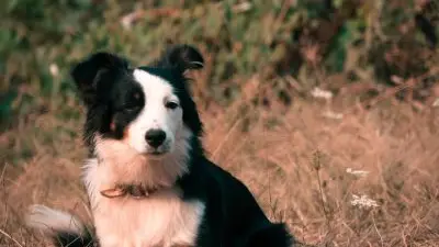 25_12_320_CampingBroceliande_Campeur