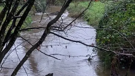 25_12_328_CampingBroceliande_Riviere