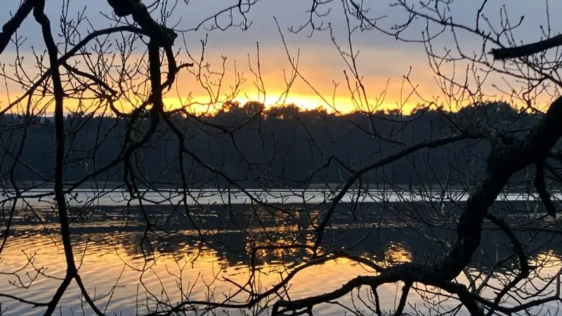 25_12_329_CampingBroceliande_Etang