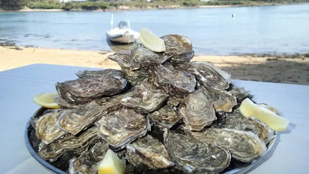 Raid nautique en semi-rigides dans le Golfe du Morbihan avec Skippage