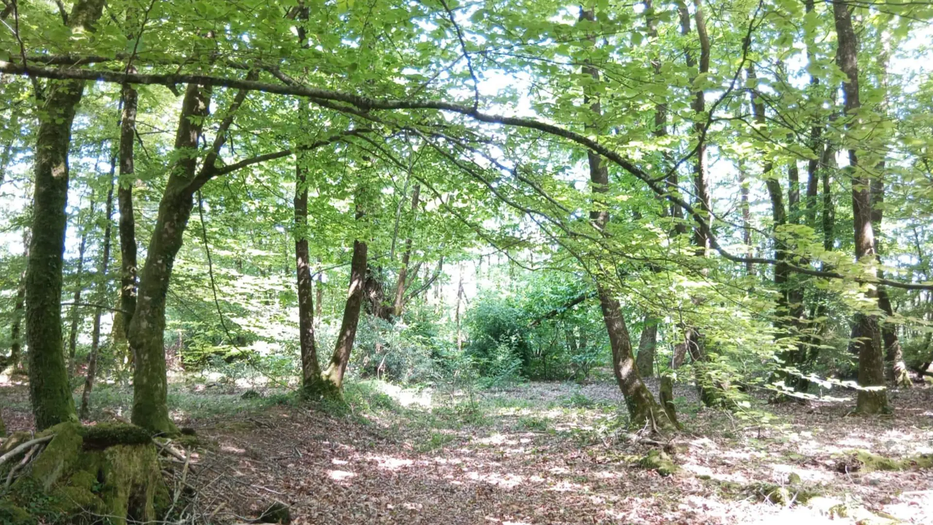 291f598e-6432-4a74-b316-84833730dc12