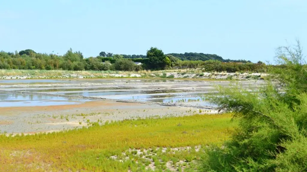 Site de Kervillen - La Trinité sur Mer - Morbihan Bretagne Sud