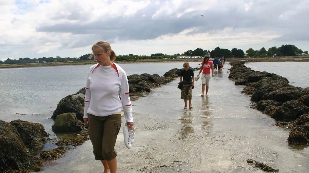 Village-Vacances-La-Pierre-Bleue-Saint-Gildas-de-Rhuys-Golfe-du-Morbihan-Bretagne sud