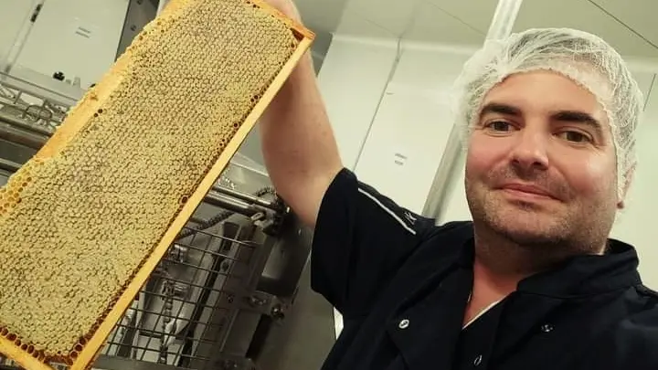 L'abeille de Napoléonville