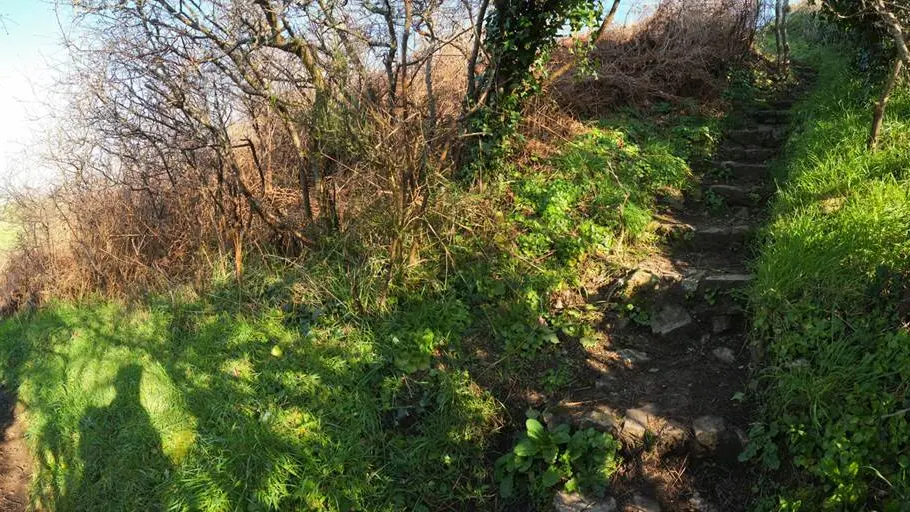 Tumulus de Tumiac ou Butte de César Arzon (2) - Morbihan Bretagne Sud