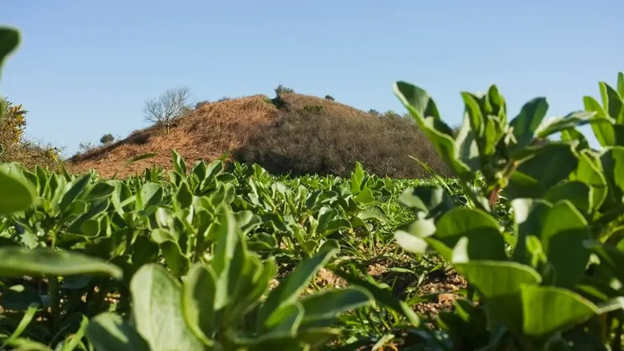 Tumulus de Tumiac ou Butte de César Arzon (3) - Morbihan Bretagne Sud