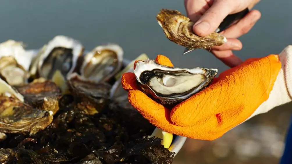 Les-Viviers-de-Banastère-Le-Tour-du-Parc-Presqu'île-de-Rhuys-Golfe-du-Morbihan-Bretagne sud