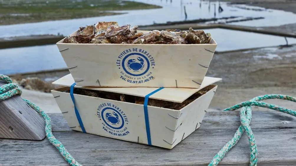 Les-Viviers-de-Banastère-Le-Tour-du-Parc-Presqu'île-de-Rhuys-Golfe-du-Morbihan-Bretagne sud