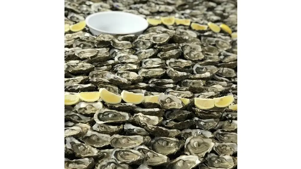 Les-Viviers-de-Banastère-Le-Tour-du-Parc-Presqu'île-de-Rhuys-Golfe-du-Morbihan-Bretagne sud