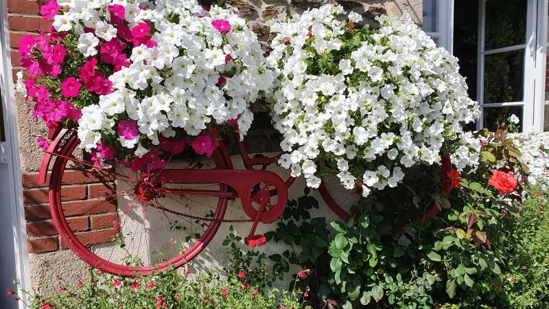 Chambre - hôtes - lits - canal - Josselin - Destination - Brocéliande