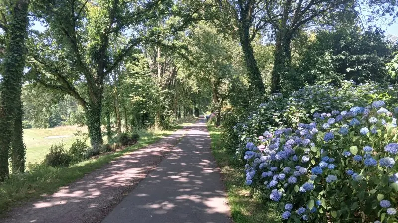 Chambre - hôtes - Le Roux - Ploërmel - Brocéliande - Morbihan - Bretagne