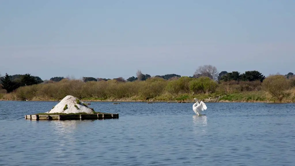 Vue-marais-salants-Petit-train-touristique-Carnac-Morbihan-Bretagne-Sud