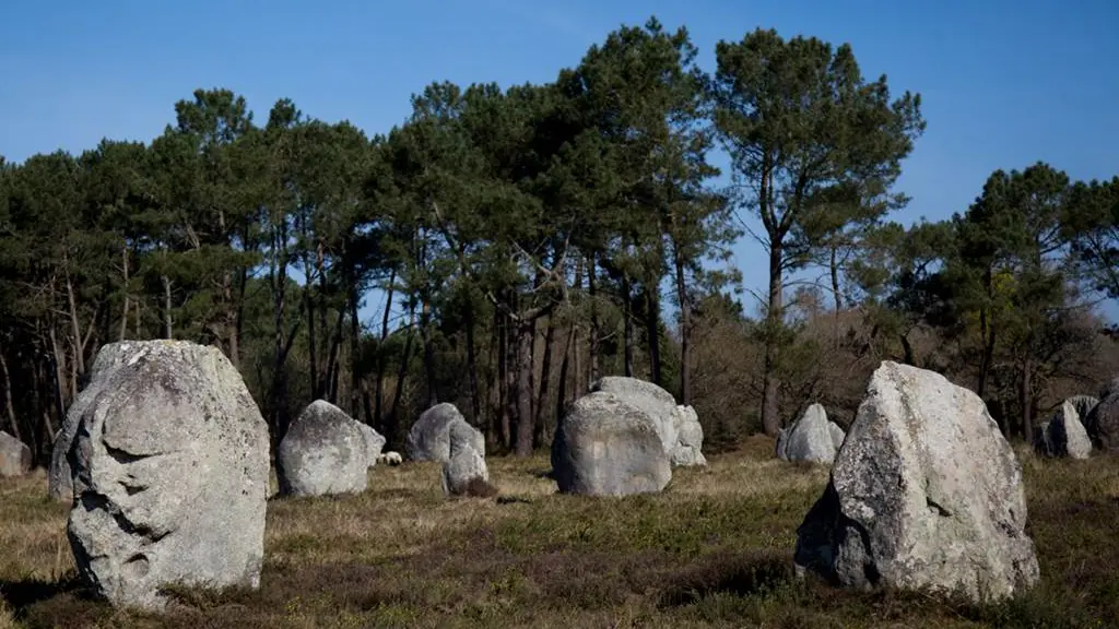 Vue-menhirs-Petit-train-touristique-Carnac-Morbihan-Bretagne-Sud