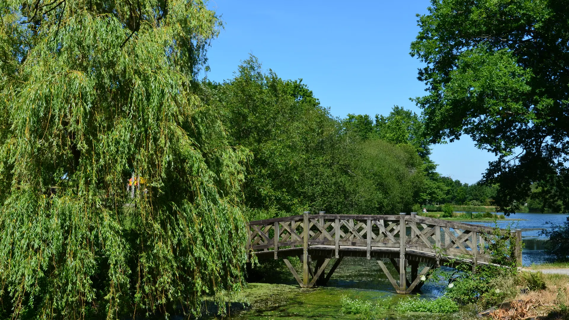 ALLAIRE - Etangs de Coueslé_nathalie guillemain - 7