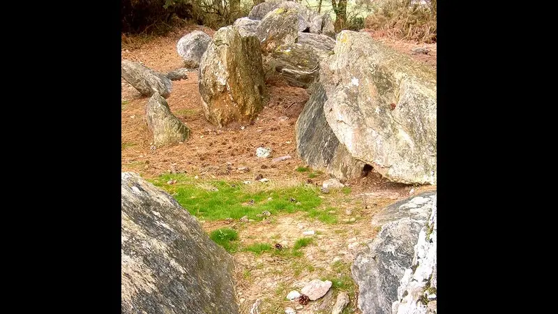 Allée couverte de Grand Village - Caro - Morbihan - Bretagne