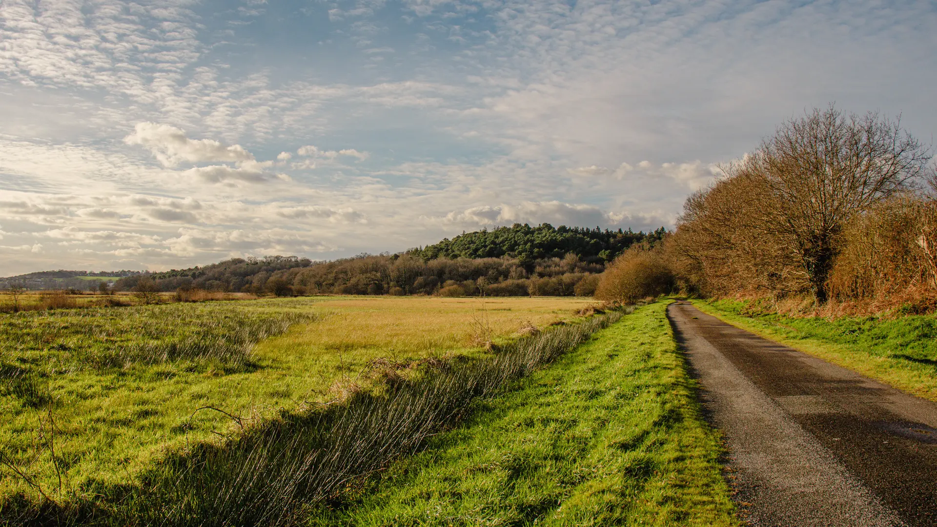 BEGANNE - les marais de beganne_bauthamy madoline (5)