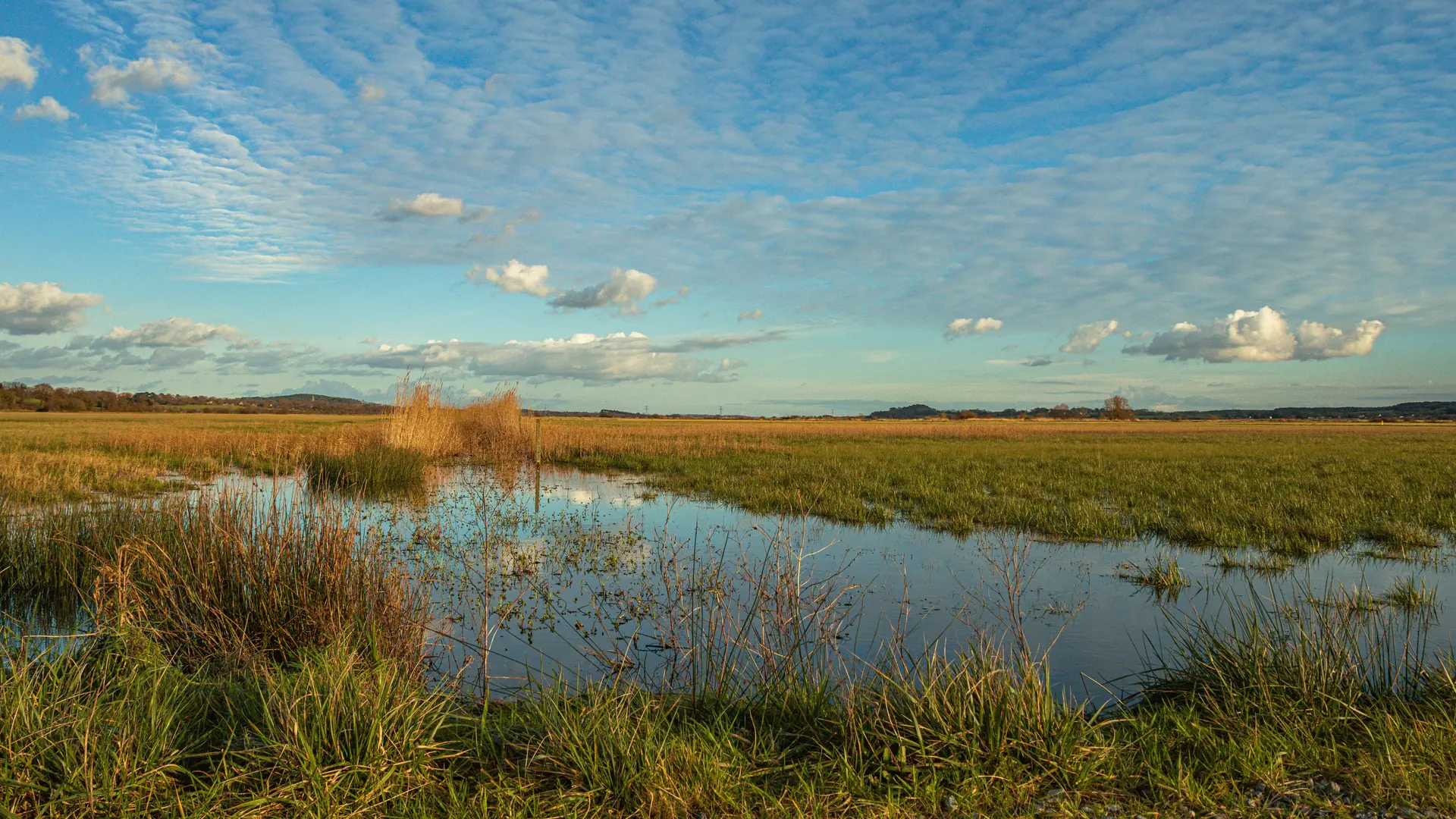 BEGANNE - les marais de beganne_bauthamy madoline (10)