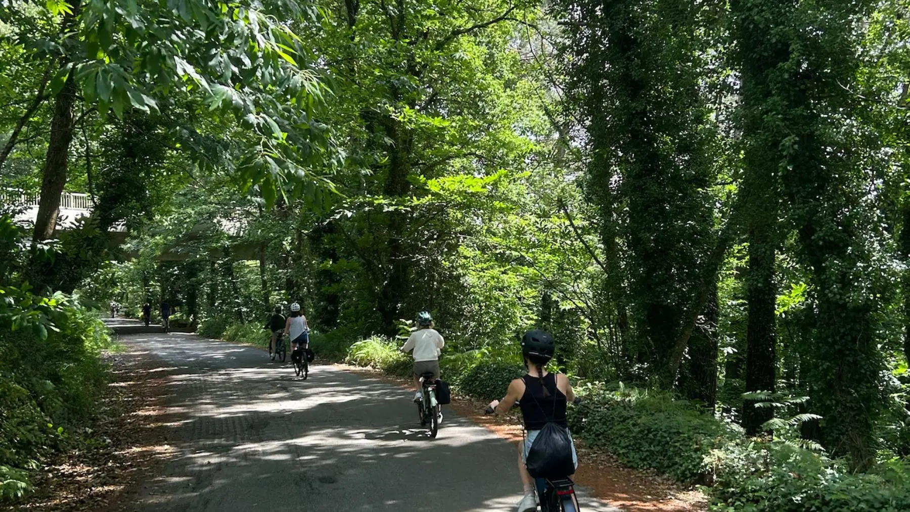 Balade en sous-bois