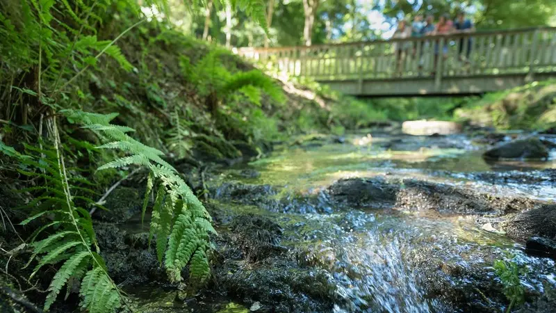 Jardin du Bois d'Amour - Josselin - Morbihan - Bretagne