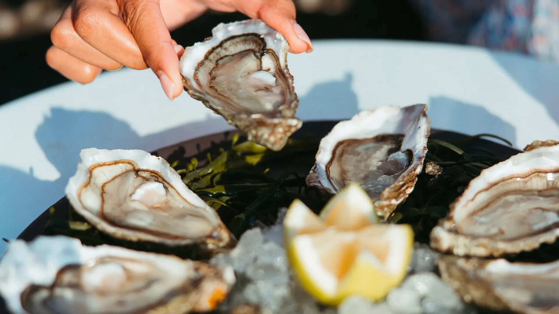 BlueBar-Huîtres-Terrasse-Vuemer