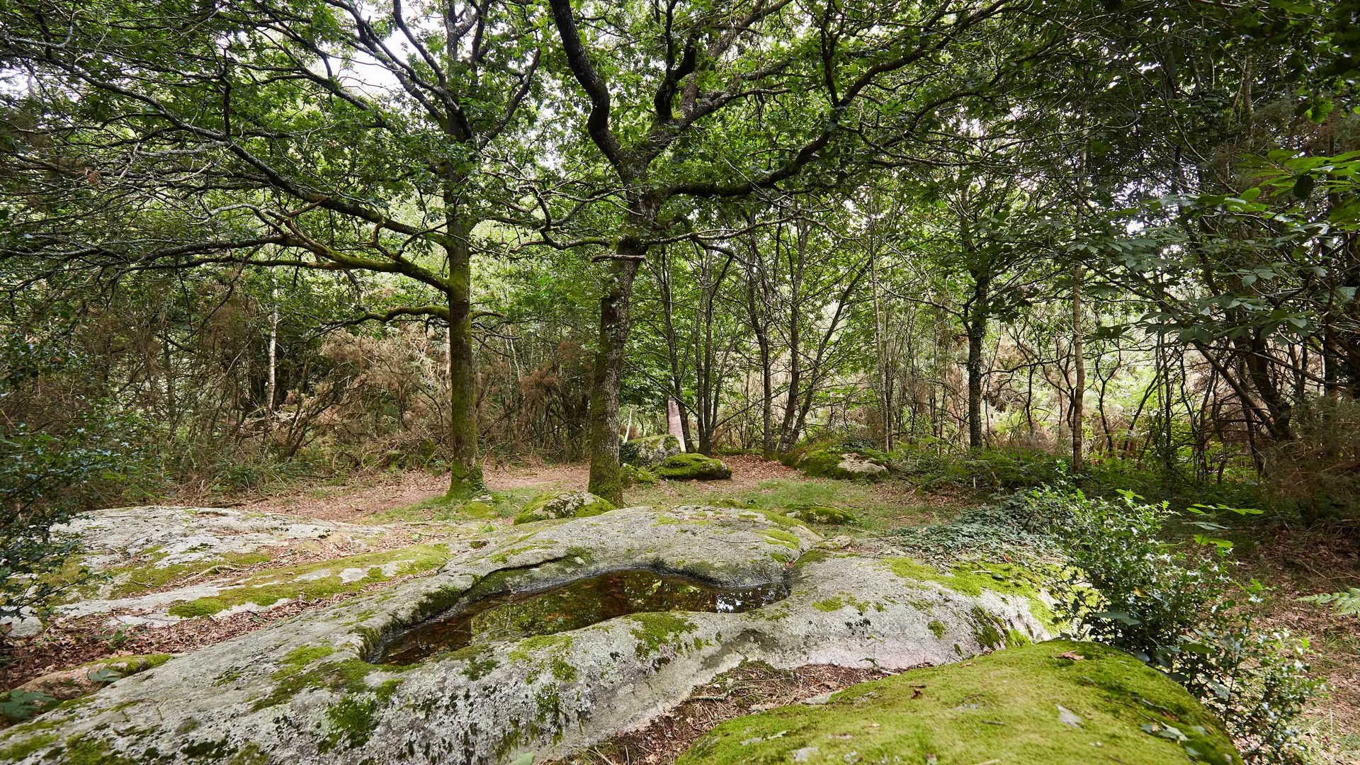 CMC18@alamoureux_MG_8404