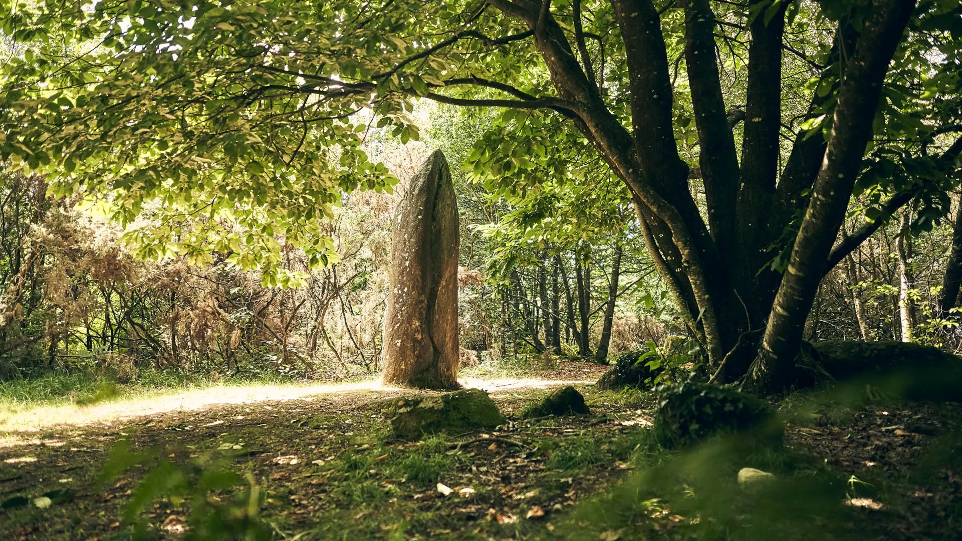 CMC18@alamoureux_MG_8413 @