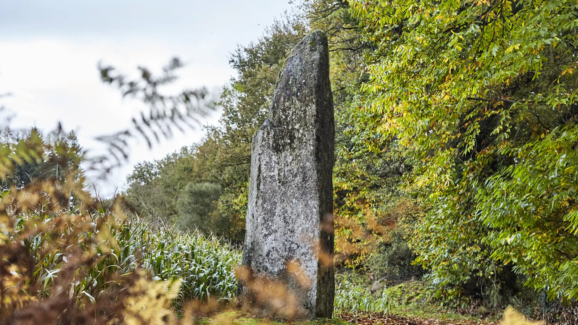 CMC19@alamoureux_MG_7780