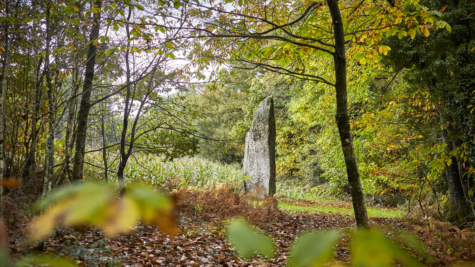 CMC19@alamoureux_MG_7788