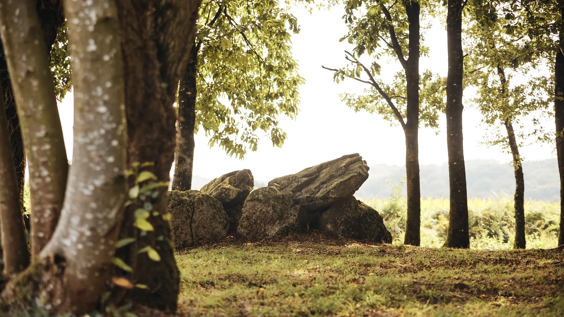 CMC21@aLamoureux_D6A8342