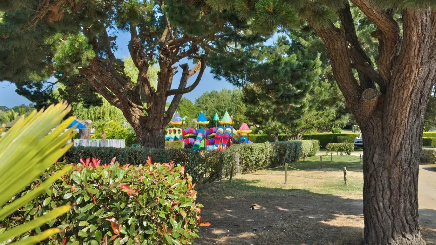 CP-Les-palmiers-emplacement-Eden